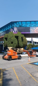 Aluguel Plataforma Articulada em Olimpia Aluguel Plataforma Articulada em Olimpia